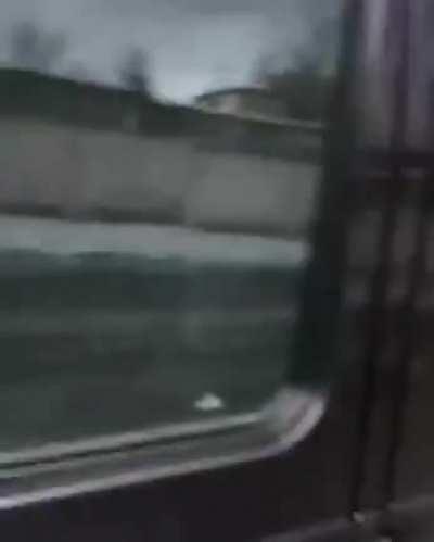 he tried to argue with the wrong car