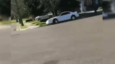 BEHOLD. The Majestic Mustang In It's Natural Environment. 🤦