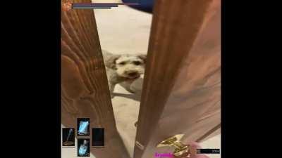 Vai fechar na minha cara?