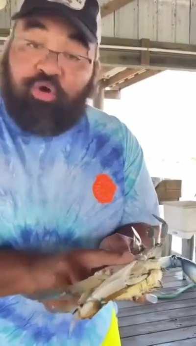 Calming an angry 🦀.