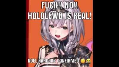 Average Hololewd fan