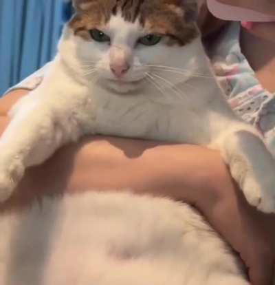 wunk and their wunkmonculi