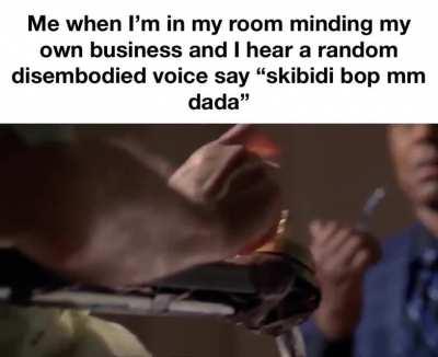 Skibidi bop mm dada