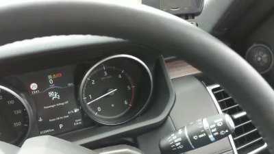 Winding up your window while a giraffe has its head inside your car