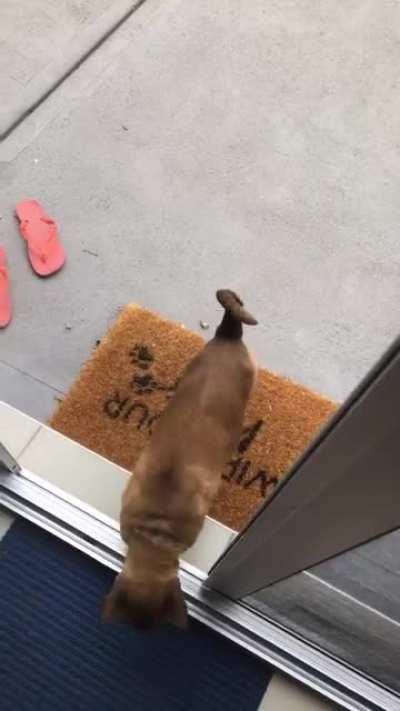 Be a sweetie and wipe your feeties