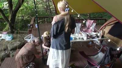 why am i hearing boss music?