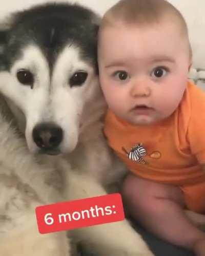 Growing up with a dog by your side is magical.