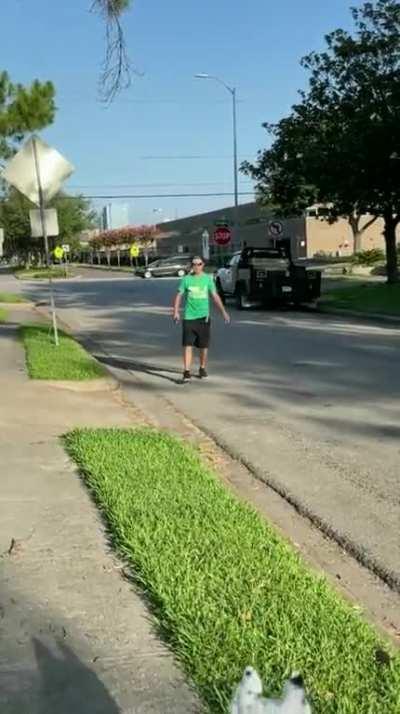 To walk the dogs in peace 