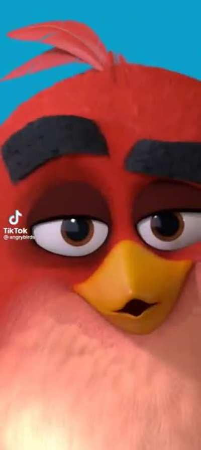 This was an actual video