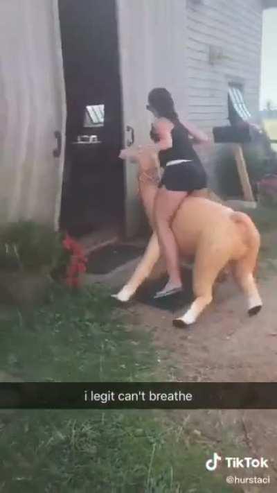 *Звуки альпачьего охуевания*