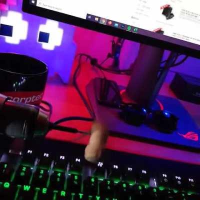 How To Get An RTX 3080 On Launch Guaranteed!!!