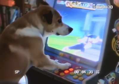 America’s Funniest AI Home Videos