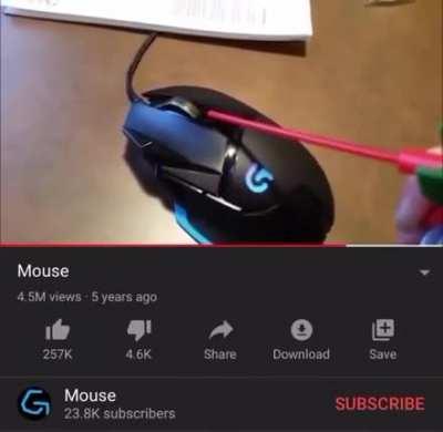 Mouse