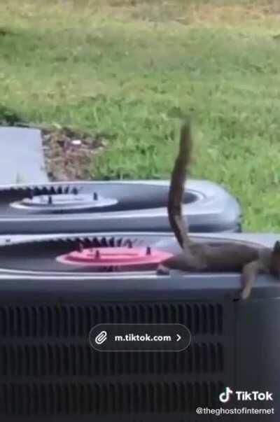 Tactical Poop Deployed