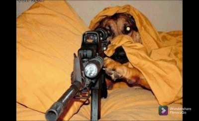 VS DarkraiMola (theme)