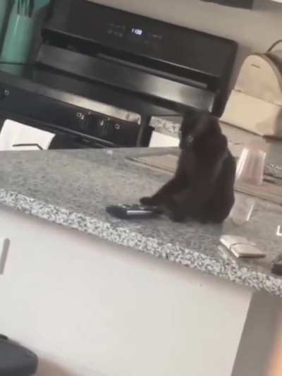 He learnt a new trick today🤗