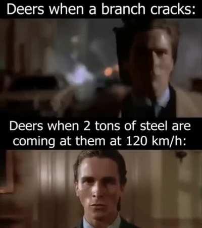 they are trying to determine velocity