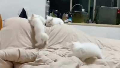 Get up and make breakfast