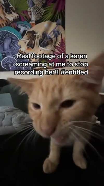 the entitlement is crazy!!!