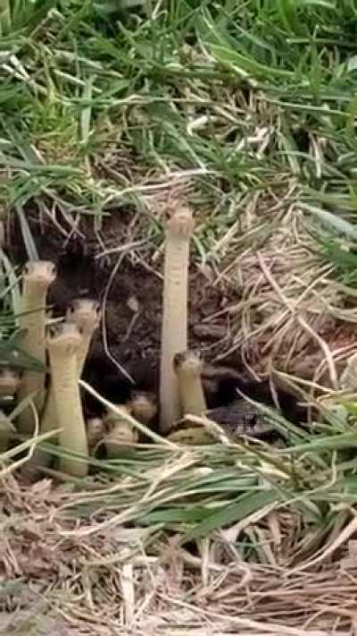 Can't think of a title