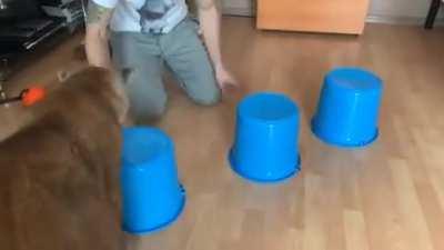 Thanks, I love big cats