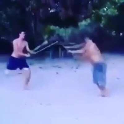 Duel of the canes