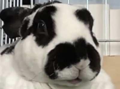 yyyaaaAAAAAAAAAAaaaawn.