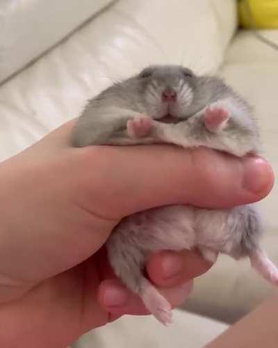 I want to hold his hand