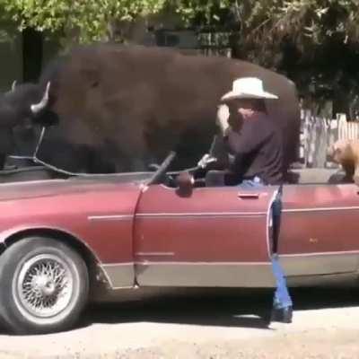 Certified unit goes for a ride