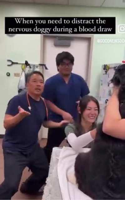 Dog dance for scared dog