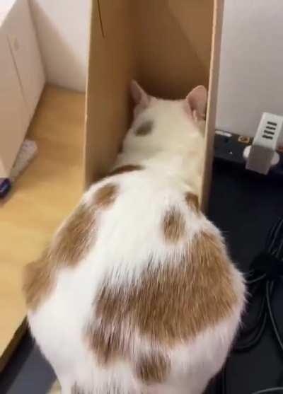 This is the best place for me