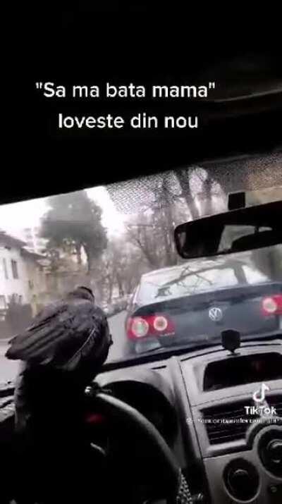 Din cauza protestelor cioara a inceput sa vorbeasca