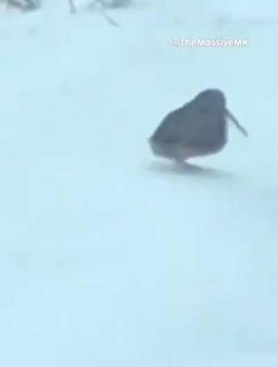 no es una wea otaku por favor no me banen