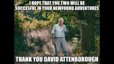 YOOO this time they might have actually bought Yugoslavia back!?. And rumors says its gonna be on DONDA ???!!!