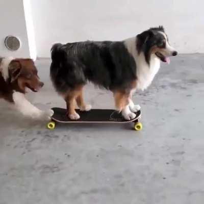 Sometimes you just need a little push from a friend to get moving...