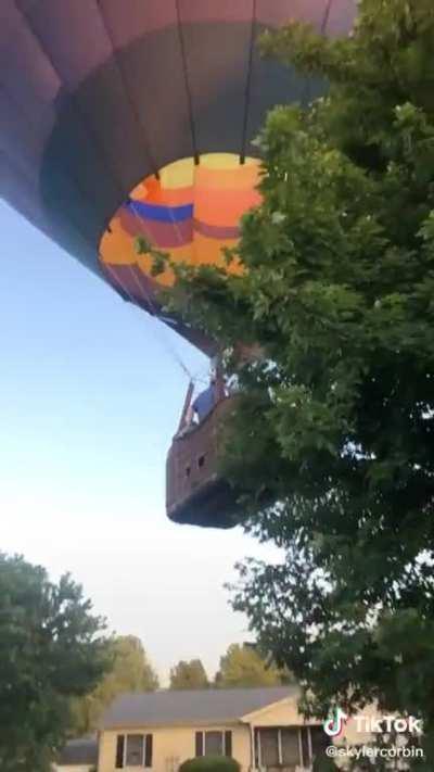 What surprise to walk out and find in your front yard