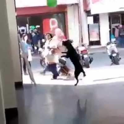 Dumbass is distracted by balloons.