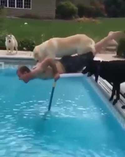 Just checking if you are ok hooman