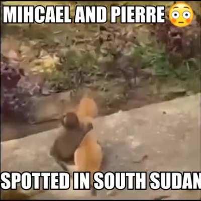 Hole som Pierre and Micheal together 😳💯