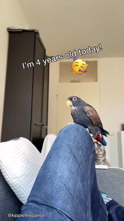 Happy hatchday Kippie!