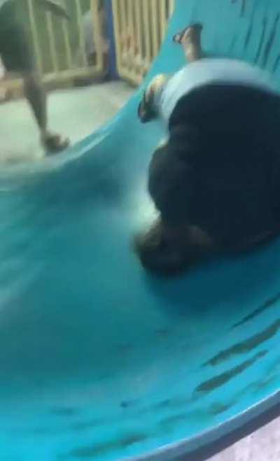 WCGW if we take mom to the carnival?