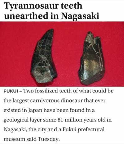 imagine being able to think of a title (couldn’t be me)