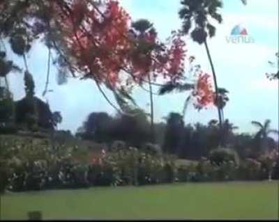 Indian Superman and Spiderwoman should've won awards.