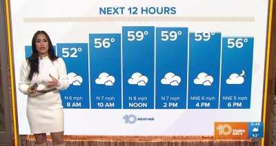 Amanda Pappas | Tampa 10