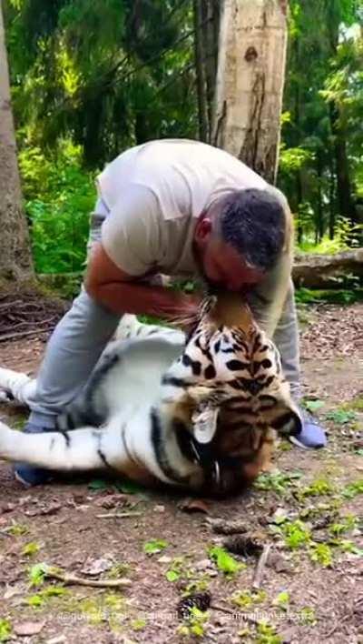 All cats are same if you have balls of steel