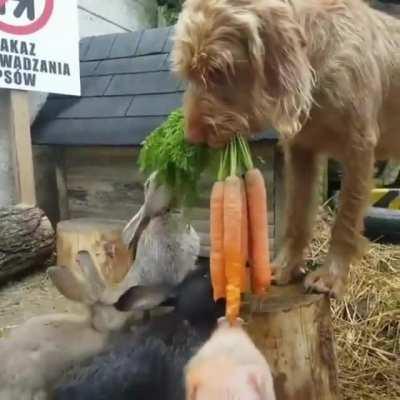 Come and Get It! Plenty for Everyone!