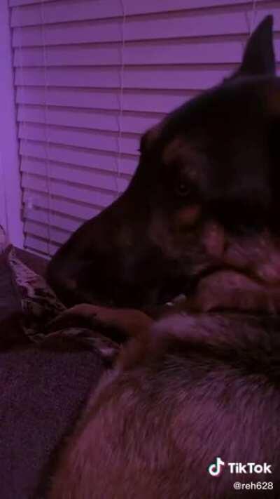 Dj Cooper killing the Beats