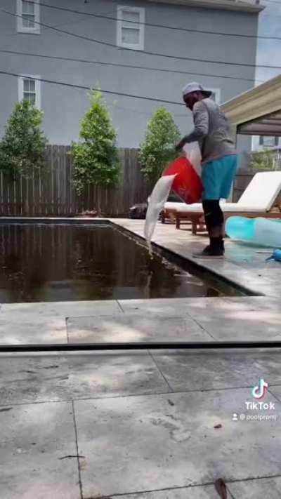 Bringing a Pool back to Life after Ida