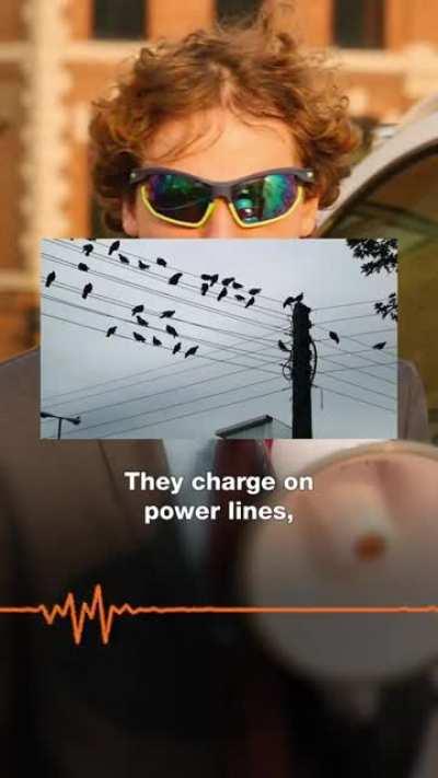 Howard Stern is being red-pilled.