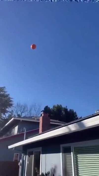 This is super satisfying to watch